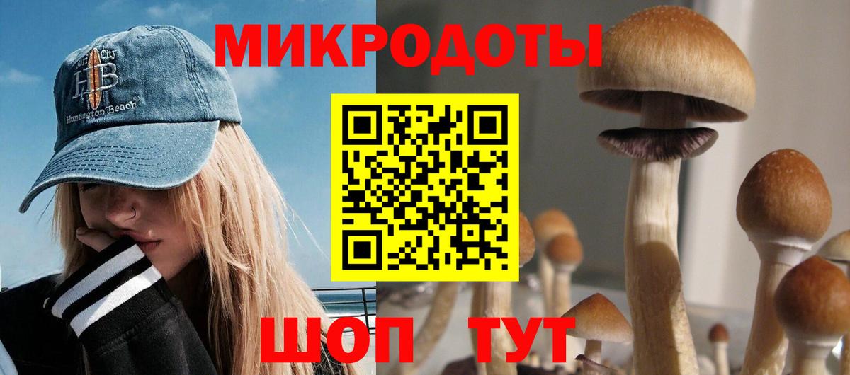 Псилоцибиновые грибы мухоморы Миллерово