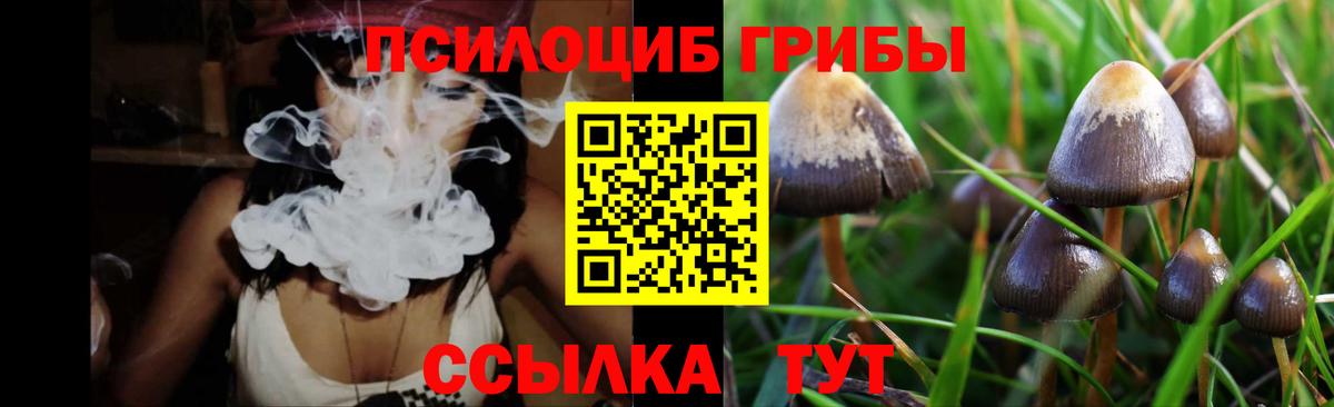 Псилоцибиновые грибы Cubensis  Вход с VPN  Миллерово 